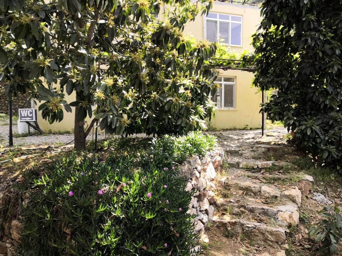 Zeytinada Pansiyon Ve Goezleme Guneykoy Exterior foto